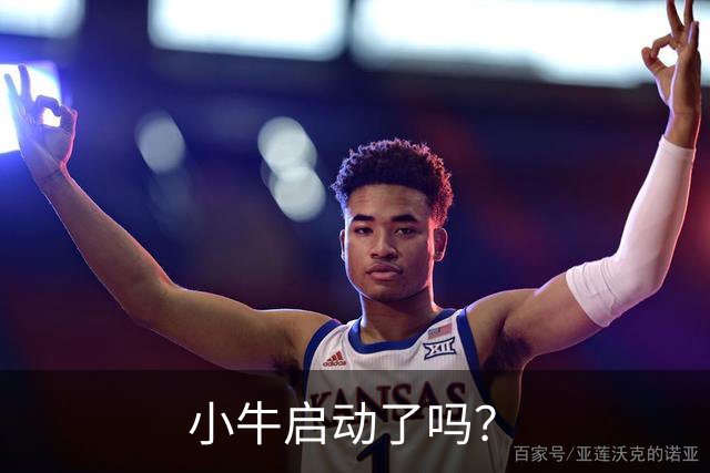 小牛启动了吗？